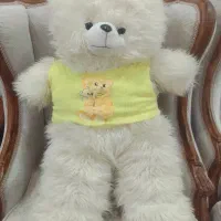 عروسک خرسی بزرگ|اسباببازی بچه|اراک, |دیوار