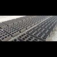 دونفر بلوک زن ماهر