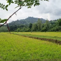 زمین ۴۰۰ متری مسکونی جاده ماسوله ویوو ابدی|فروش زمین و ملک کلنگی|ماکلوان, |دیوار