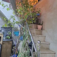 ویلایی ۵۶متردوطبقه۱۵ خرداد.بازسازی شده تمیز|فروش خانه و ویلا|قم, دروازه ری|دیوار