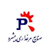 استخدام نیروی مالی حسابداری