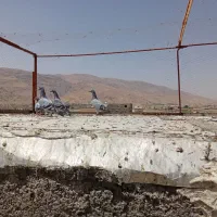کفتر پلاکی بیرونی