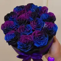 رز روبانی باکیفیت