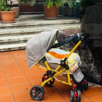 کالسکه دلیجان