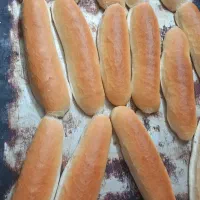 نان ساندویچی و باگت و همبرگر