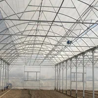 ساخت انواع سازه گلخانه(صفرتاصد،نقد و اقساط)|عمدهفروشی|شهرکرد, |دیوار