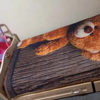 ست سرویس خواب نوجوانی