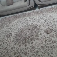 فرش ۱۲ متری کرم قهوه ای|فرش|بابل, |دیوار