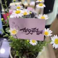 همکار پاره وقت