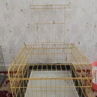 قفس پرنده ، قفس جونده