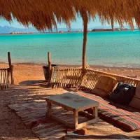 تور تفریحی کیش و قشم|تور و چارتر|شیراز, سیاه سنگ|دیوار