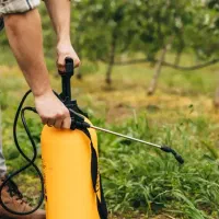 سم پاشی/ مشاوره+ کتابچه راهنما برای باغداران عزیز