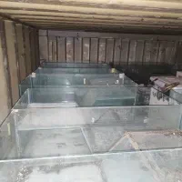 آکواریوم