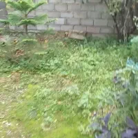 خانه ویلایی