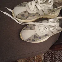 کتونی شماره ۳۸