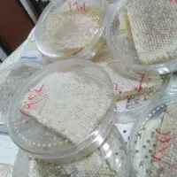 عسل طبیعی اردبیل|خوردنی و آشامیدنی|تهران, گمرک|دیوار