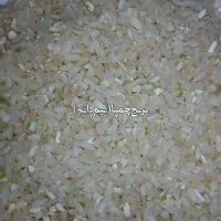 برنج چمپا شهریار|خوردنی و آشامیدنی|فلارد, |دیوار