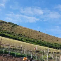 ویلا اجاره شبانه دوبلکس، با امکانات در دل کوهستان|اجارهٔ کوتاه‌مدت ویلا و باغ|دیلمان, |دیوار