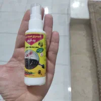 انواع سمپاش و گلدون و...|خدمات باغبانی و درختکاری|سوق, |دیوار