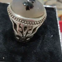 ۱عدد انگشتر شجر قاینات اصلی طبیعی رکاب اره کاری