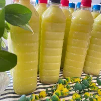 فروش انواع محصولات خونگی دلمزه