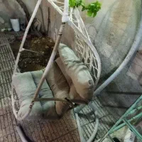 تاب ریلکس ،معلق ،صندلی|صندلی و نیمکت|سبزوار, همت|دیوار