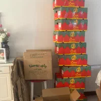 فروش کارتن موز