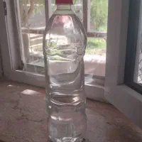 عرق کاسنی اصل