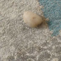 سنگ|جواهرات|ارومیه, |دیوار