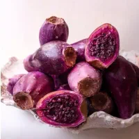 میوه کاکتوس اپونتیا  تازه‌چین و درجه‌یک