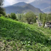 ۸۰۰ متر زمین سند تک برگ(لالان)