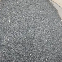 بذر پیاز برای پیازچه یا داروی