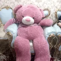 خرس ۲ متری