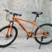 فروش فوری|دوچرخه، اسکیت، اسکوتر|فردوس (خراسان), |دیوار