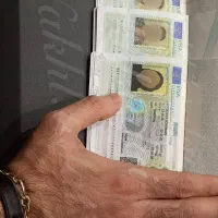 ویزای شنگن اروپا، ویزا (گارانتی)