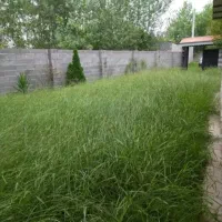 ویلاباغ ۶۴۰ متری باامتیازات اطراف رشت|فروش خانه و ویلا|رشت, بلوار گیلان|دیوار