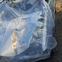 فروش ماشین|خودرو سواری و وانت|ملکان, |دیوار