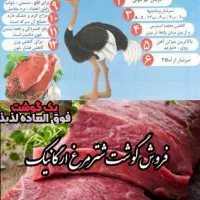 جوجه شترمرغ تخم خوراکی گوشت روغن قلم|حیوانات مزرعه|یاسوج, |دیوار
