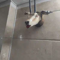 سه عدد تسبیح عقیق و صدف و معمولی