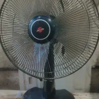 پنکه