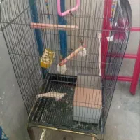 قفس بزرگ کاسکویی فوری