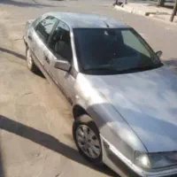 زانتیا فروشی در رفسنجان