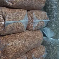 پخش انواع تخمه