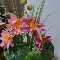 گل مصنوعی خارجی قابل شستشو|گل مصنوعی|تنکابن, |دیوار