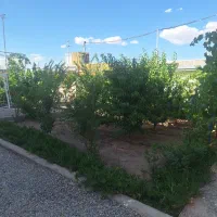 به دو نفر  خانم جهت نظافت نیازمندیم