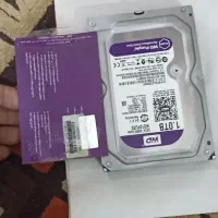 هارد یک ترا بنفش