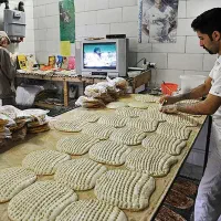 جواز کسب نانوایی بربری