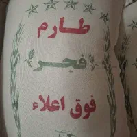 طارم فجر درجه یک