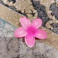 کلیپس