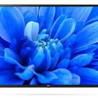 ال ای دی الجی